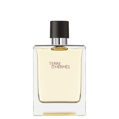 Immagine di HERMES |  Terre d'Hermès Eau de Toilette Spray