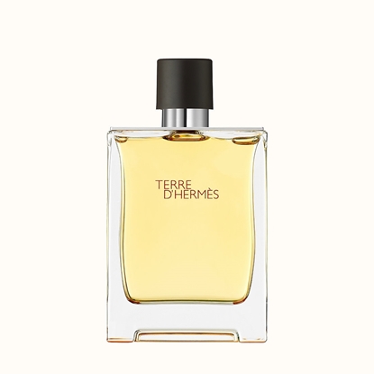 Immagine di HERMES | Terre d'Hermès Parfum