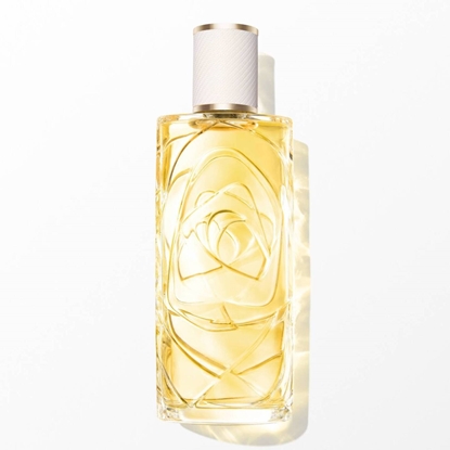 Immagine di LANCOME | Ô Zenith Eau de Toilette