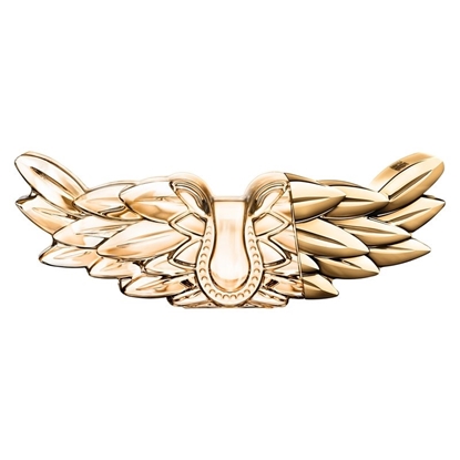 Immagine di ZADIG&VOLTAIRE | Zadig L'Intense